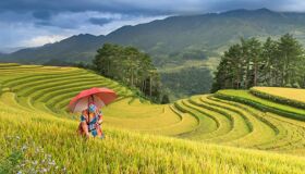 Sapa Ethnic Woman on the Rice-fields